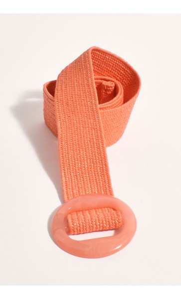 RESIN STRETCH WEAVE BELT