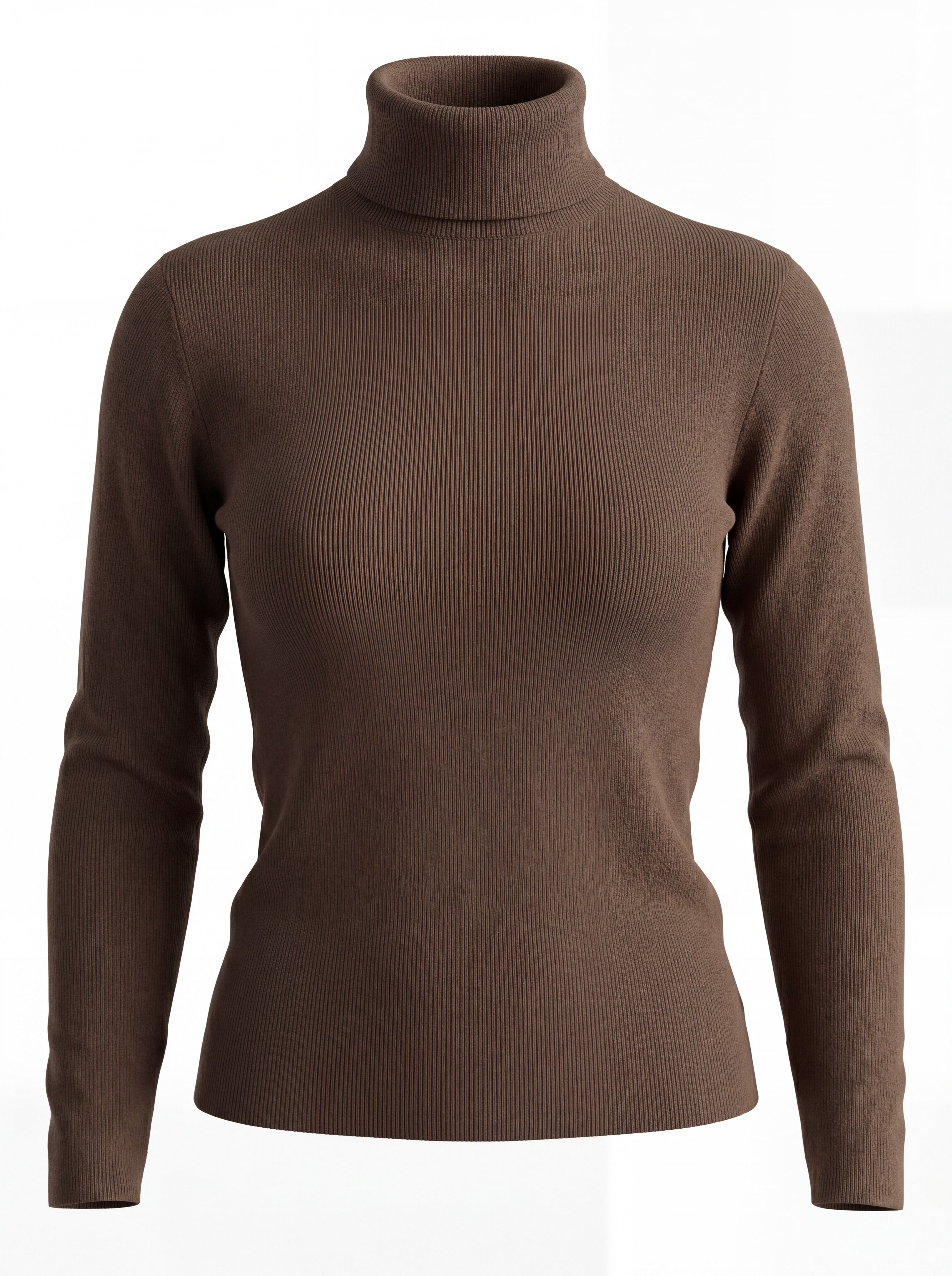 RIBBED KNIT TURTLENECK